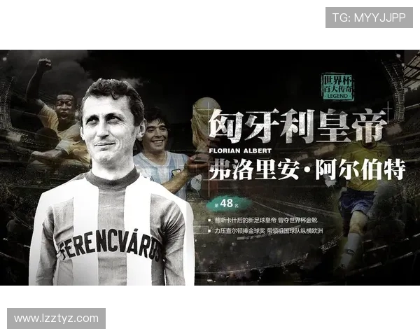 匈牙利与罗马尼亚排球对决精彩回顾与赛场亮点分析